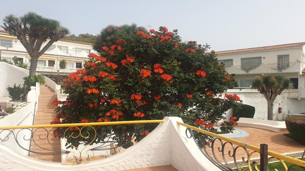 Madre Tierra Apartment Puerto de la Madera Zewnętrze zdjęcie